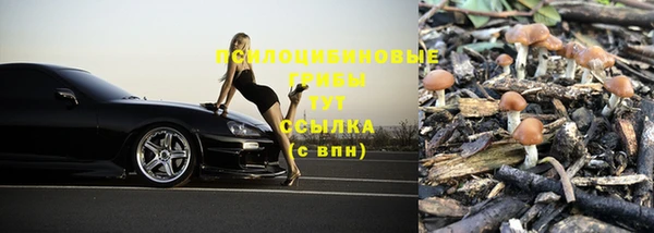 хмурый Белоозёрский
