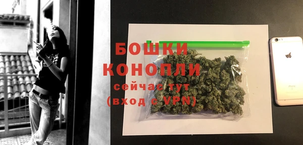 эйфоретик Белокуриха