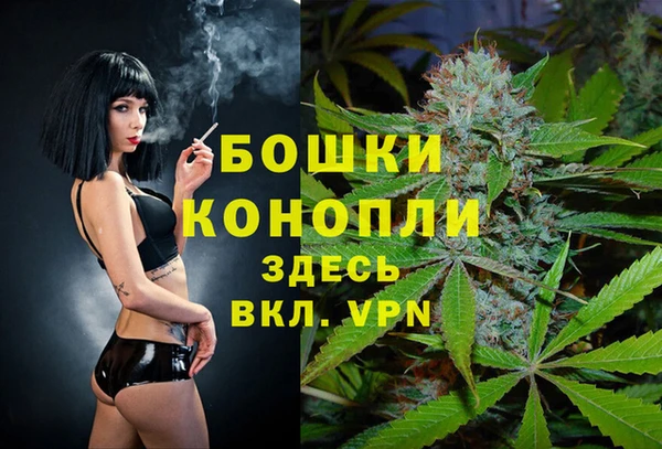 эйфоретик Белокуриха