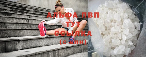 стафф Кадников